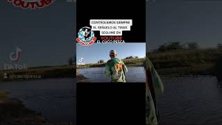 TIPS para PESCA de TARARIRAS [upl. by Paxton]