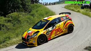 51° Rally Elba 2018 Show Crash and Mistake [upl. by Lyndsie]