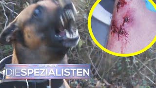 Aggressiver Hund versperrt Ärzten den Weg  Die Spezialisten  SAT1 [upl. by Nedra]