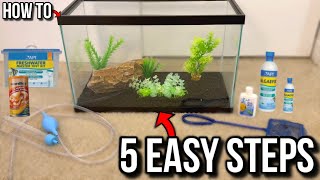 How To Set Up A Fish Tank Aquarium Step by Step EASY BEGINNER [upl. by Kamal]