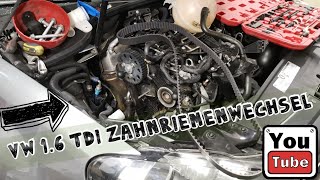 Vw Golf 6 VI 16tdi Zahnriemenwechsel  Wasserpumpe Anleitung  Timing Belt Replacement [upl. by Rednasxela242]