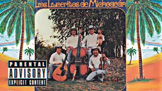 LOS LUCERITOS DE MICHOACAN MIX [upl. by Isborne]