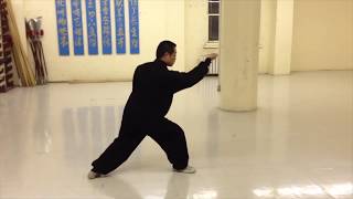 Xing Yi Quan HsingI 河北形意拳  5 Elements SlowMotion Demonstration [upl. by Earej820]