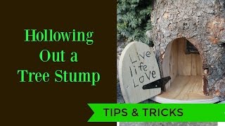 How to Hollow Out Tree Stumps Tutorial [upl. by Mchail]