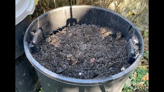 CHEAP and EASY Composting Method 32 Gallon Trash Bin [upl. by Zuliram487]