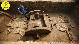 20 Archaeological Discoveries That Will Blow Your Mind [upl. by Derfla]