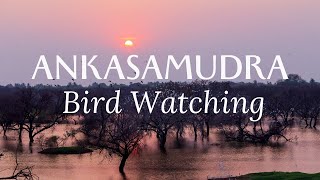 Ankasamudra Bird Sanctuary Karnataka Tourism  Wildlife and Bird Photography Davangere Food Vlog [upl. by Avilla]