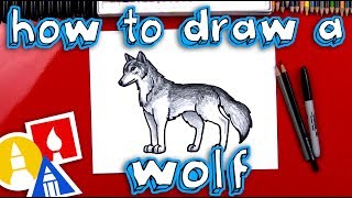 How To Draw A Realistic Wolf [upl. by Ribaudo752]