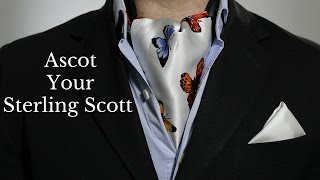 Rock Your Sterling Scott Like an Ascot [upl. by Trinl]