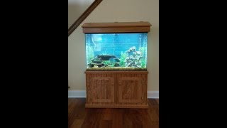 Make A DIY Fish Tank Stand  Aquarium Stand [upl. by Ariada]