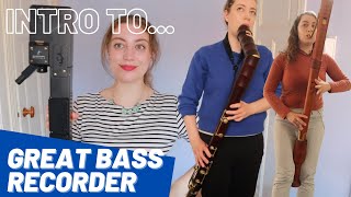 Intro to GREAT BASS Recorder  Team Recorder [upl. by Nythsa]