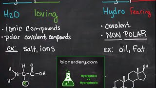 Hydrophilic vs Hydrophobic [upl. by Damita]