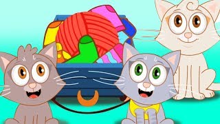 drei kleine Katzen  Katzenlied  Kinderlieder in Deutsch [upl. by Acir]