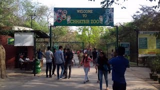 Chhatbir Zoo Zoological Park Zirakpur India [upl. by Deppy503]