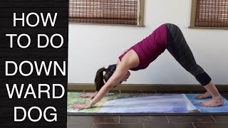 How to Do Downward Facing Dog  Yoga Pose Tutorial Part 1 Vinyasa Essentials Tutorial Series [upl. by Cannon]