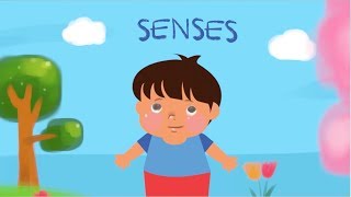 K12 Grade 2  Science Exploring Our Senses [upl. by Assehc]