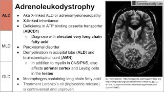 Leukodystrophies ALD MLD and GLD [upl. by Kinny334]