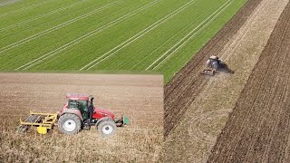 Vorbereitung der Maisfelder  Zwischenfrucht grubbern  Widder Grubber  Case IH CS 120 [upl. by Carey]