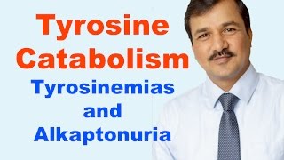 Tyrosine Metabolism Review [upl. by Alegnat]