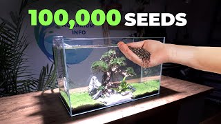 I Planted 100000 Seeds In A Fish Tank [upl. by Clive]