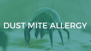 Dust Mite Allergy Symptoms and Treatments [upl. by Ariada259]