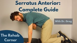 Serratus Anterior  A Complete Guide [upl. by Ilenna]