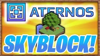 HOW TO MAKE A SKYBLOCK SERVER WITH ATERNOS 1165 [upl. by Arok]