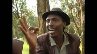 Eritrean comedy suzinino tafla and behabelom Trgum [upl. by Eiuol346]