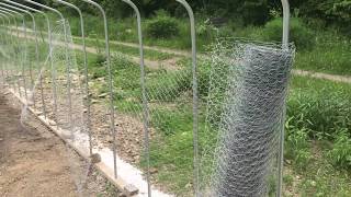 TIPS and TRICKS to installing chicken wire [upl. by Seline979]