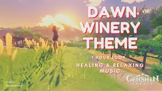 1 Hour Relaxing Music  Dawn Winery Theme  Genshin Impact [upl. by Jourdain]