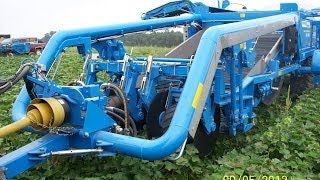 Standen  TSP1900  Sweet Potato Harvester  USA [upl. by Dusty]