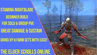 ESO Stamina Nightblade Beginner PVE Build [upl. by Ecirtram]