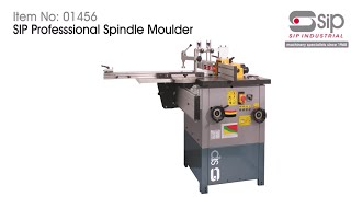 Overview of SIP Professional Spindle Moulder [upl. by Aneis]