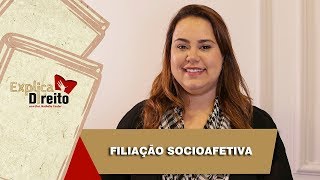 Explica Direito Filiação Socioafetiva  2019 [upl. by Lesli]