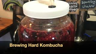 Brewing Hard  Alcoholic Kombucha [upl. by Rossing]