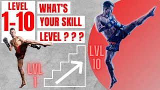 Roundhouse Kick LVL 110  Whats Your Skill  Technique Advice [upl. by Glick677]