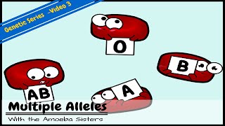 Multiple Alleles ABO Blood Types and Punnett Squares [upl. by Deanne]