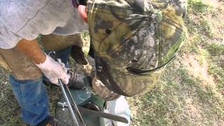 Hoof trimming Farrier correcting 3 unbalanced horse hooves [upl. by Schnell953]