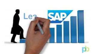 AP Vendor Balances  SALR87012082 SAP Training [upl. by Ancelin]