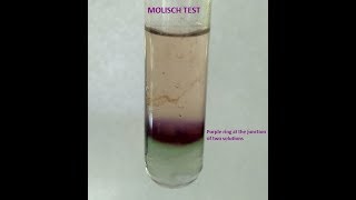 Molisch Testa group test for Carbohydrates [upl. by Dulla73]