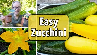 Growing Zucchini Courgettes from Sowing to Harvest [upl. by Aisanahta]