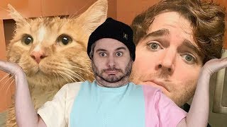 Shane Dawson Did WHAT With His Cat [upl. by Edlihtam144]