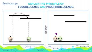 Explain the principle of Fluorescence and Phosphorescence  Analytical Chemistry [upl. by Spillihp216]