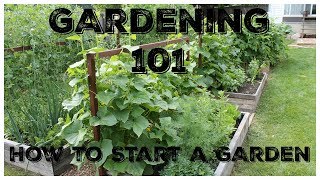 Gardening 101 How To Start A Garden [upl. by Elsy]