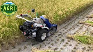 Driverless REAPER BINDER MACHINE Harvesting Paddy  Rice  Automatic Mini Reaper Binder Machine [upl. by Ness70]