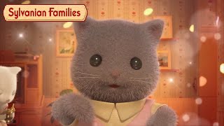 The Persian Family 🐱 Mini Episodes Season 4 Peony 3  Sylvanian Families [upl. by Enimrej]