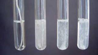 Group 2 Reactions with water  Periodic Properties [upl. by Namruht]