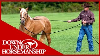 Clinton Anderson Training a Rescue Horse Part 1  Downunder Horsemanship [upl. by Aniraad795]