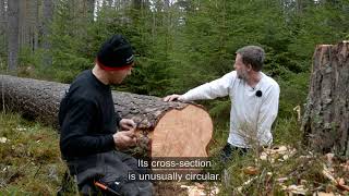 Medieval wood riving – An attempt to recreate craftsmanship [upl. by Sivram]