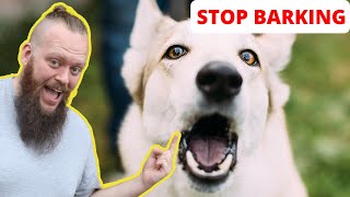 How to Train Your Dog to STOP BARKING at EVERYTHING [upl. by Urana]